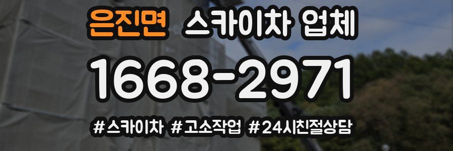 은진면 스카이차 업체