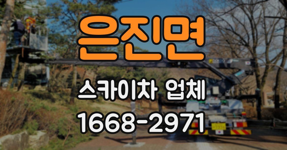 은진면 스카이차 업체