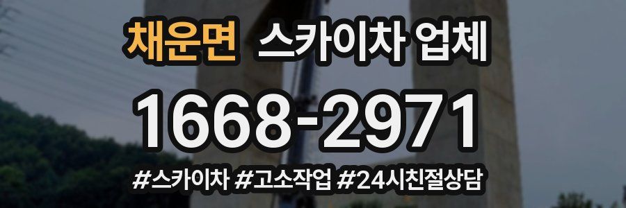 채운면 스카이차 업체