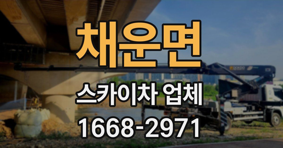 채운면 스카이차 업체
