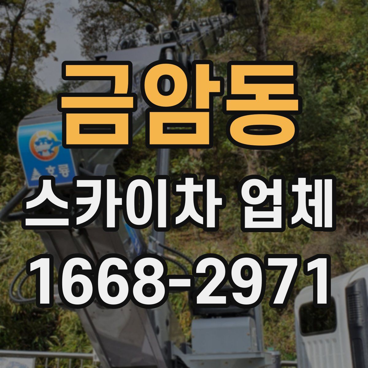 금암동 스카이차 업체