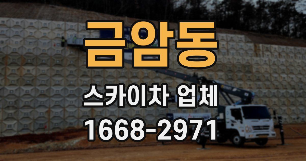 금암동 스카이차 업체