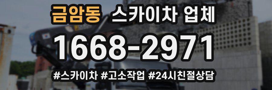 금암동 스카이차 업체