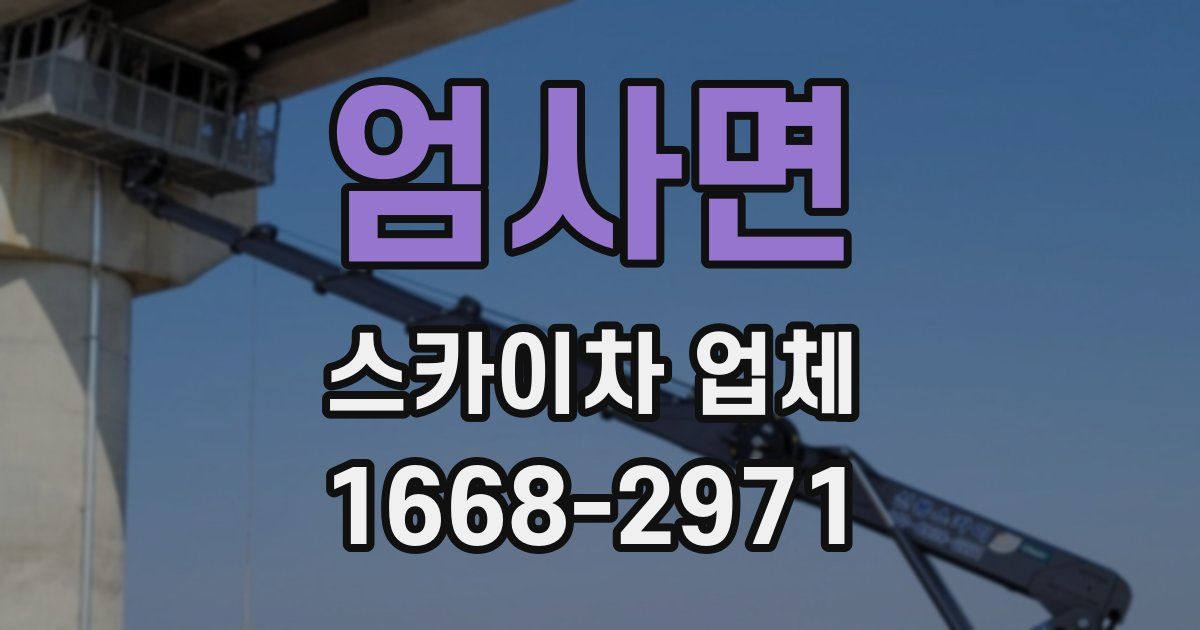 엄사면 스카이차 업체