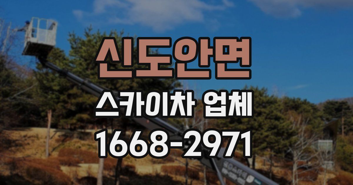 신도안면 스카이차 업체