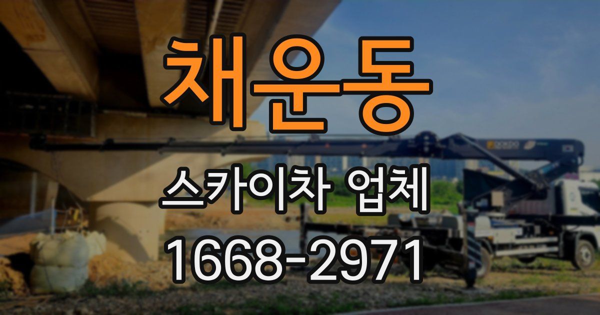 채운동 스카이차 업체