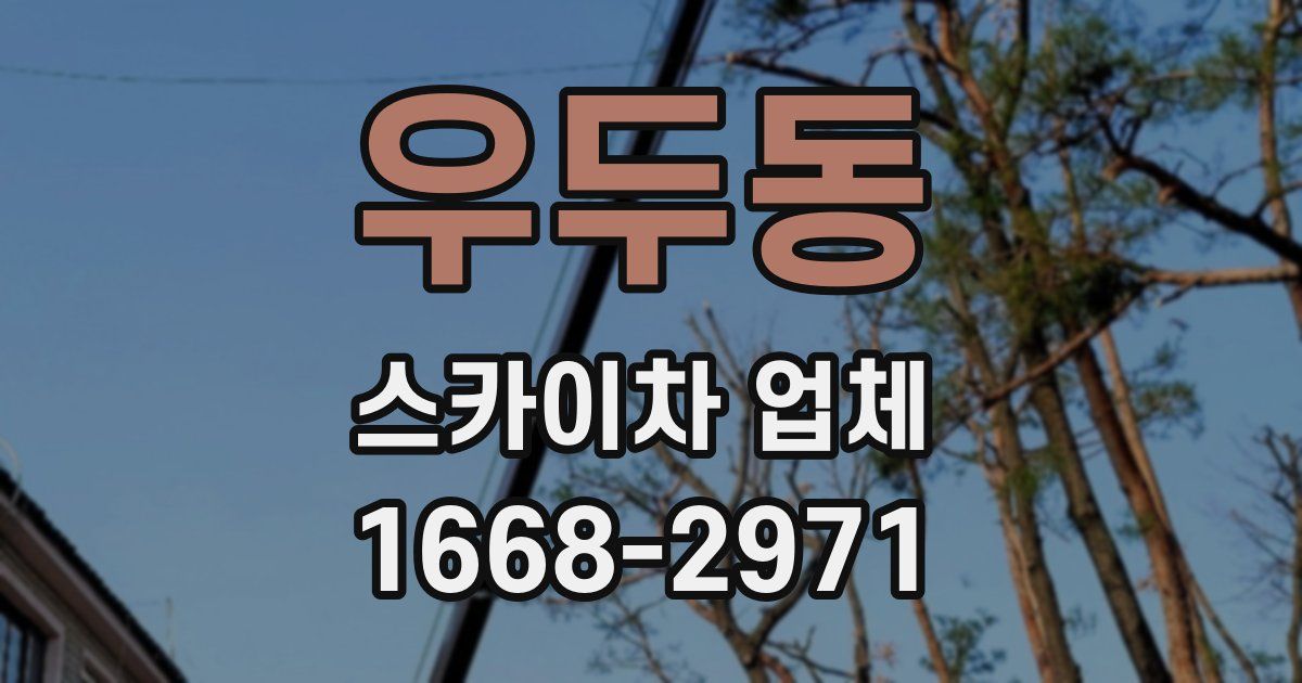 우두동 스카이차 업체