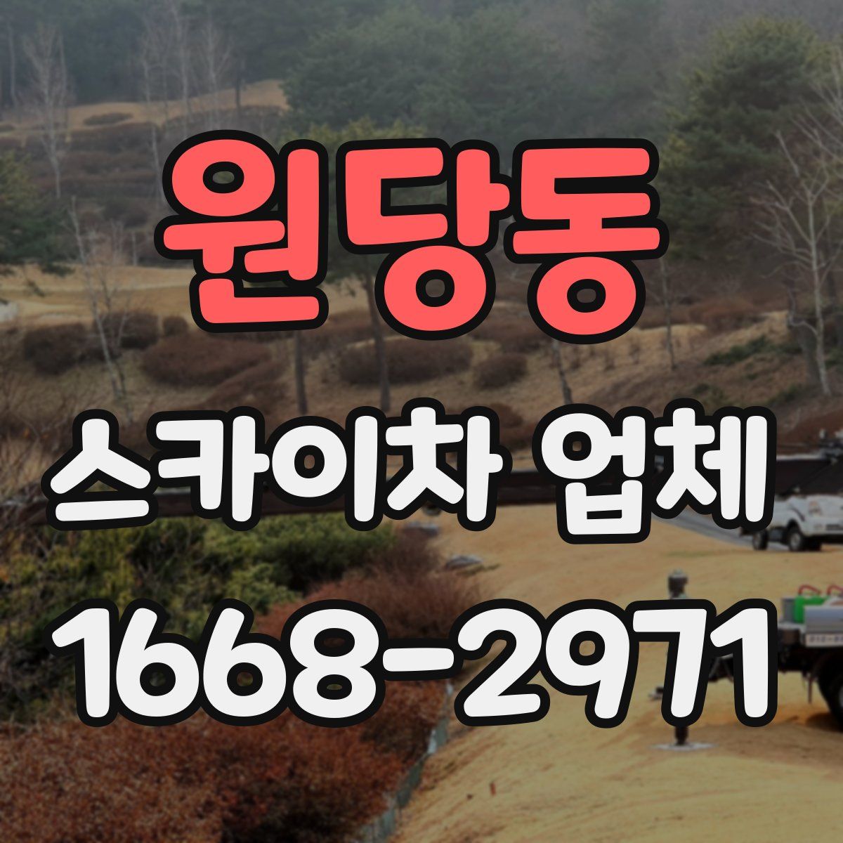 원당동 스카이차 업체