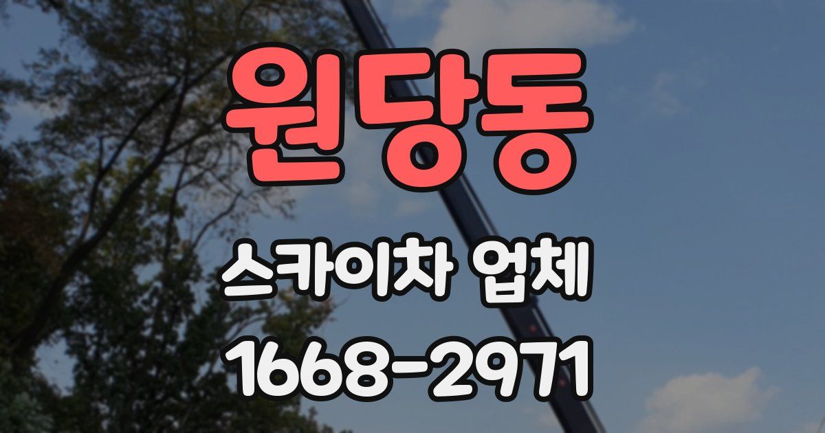원당동 스카이차 업체