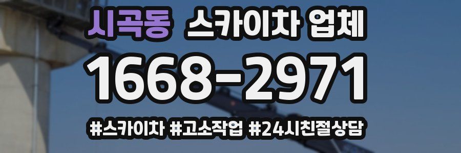시곡동 스카이차 업체