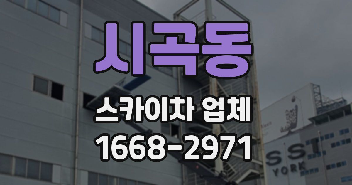 시곡동 스카이차 업체