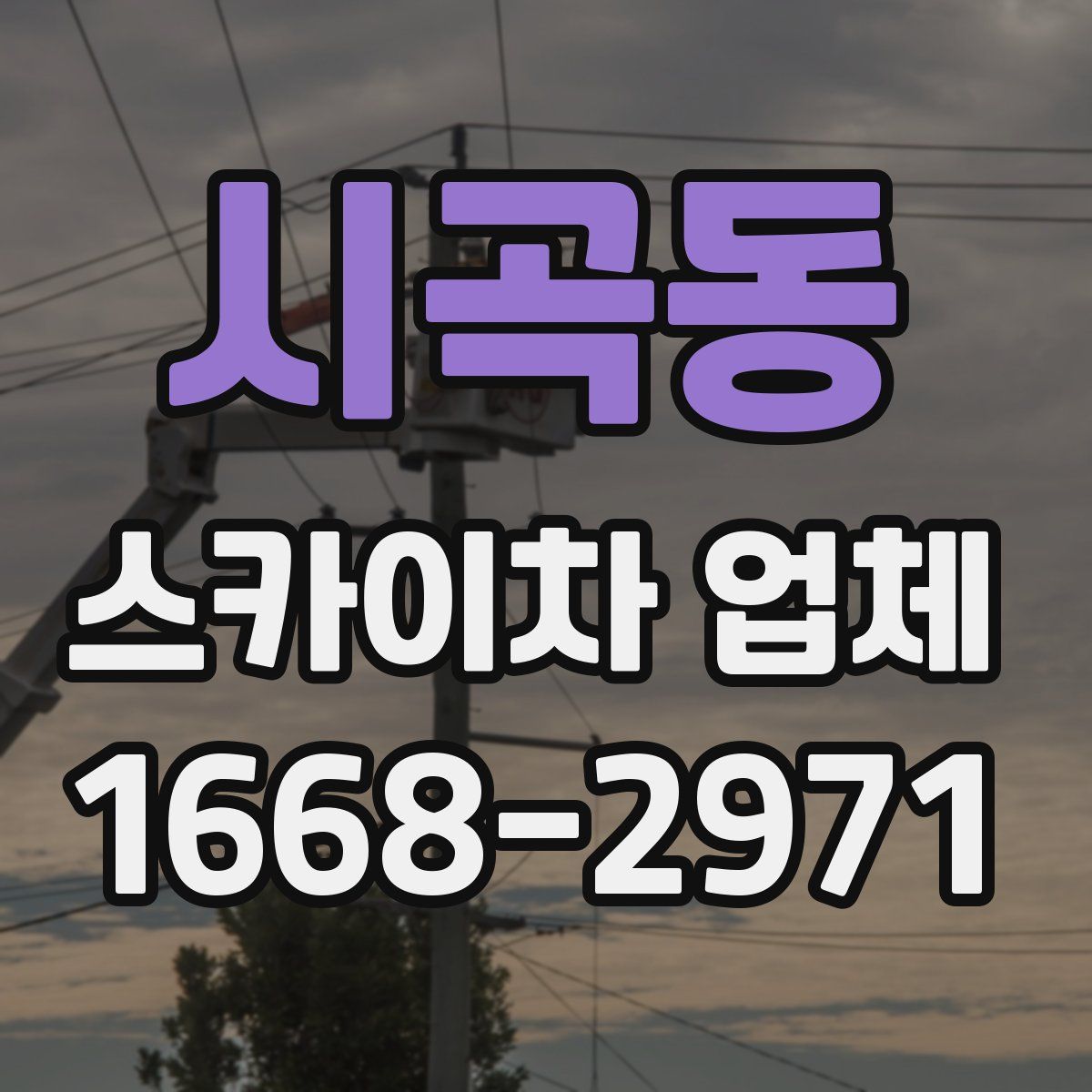 시곡동 스카이차 업체