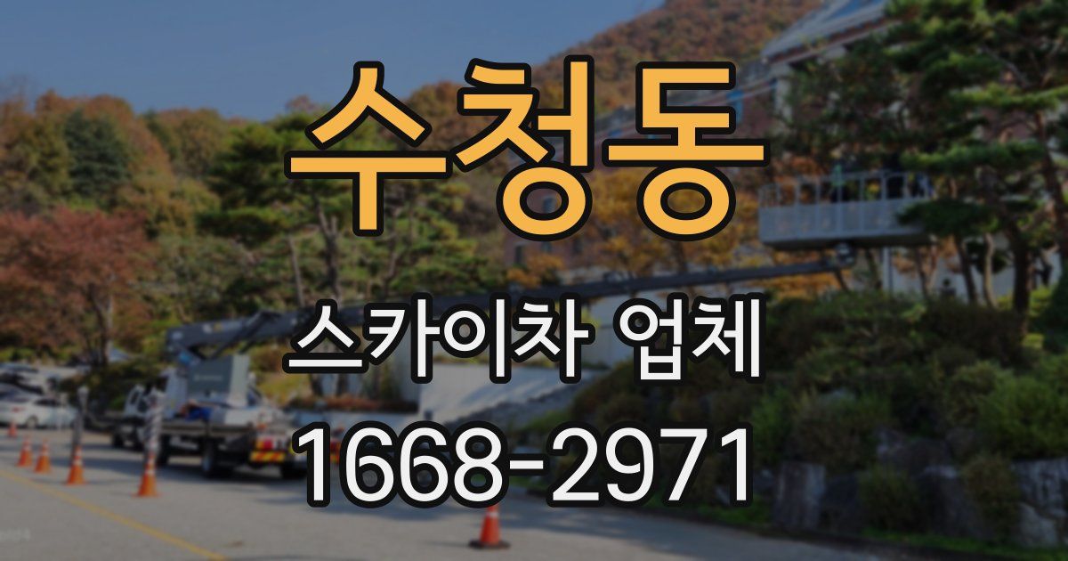 수청동 스카이차 업체