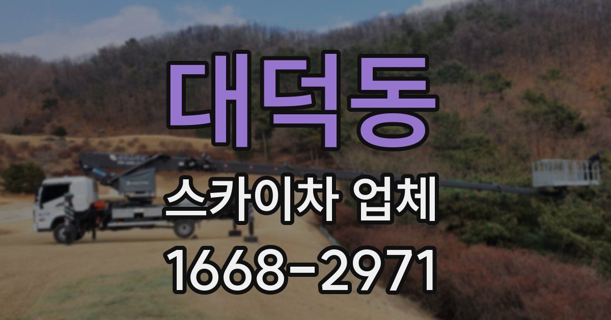 대덕동 스카이차 업체