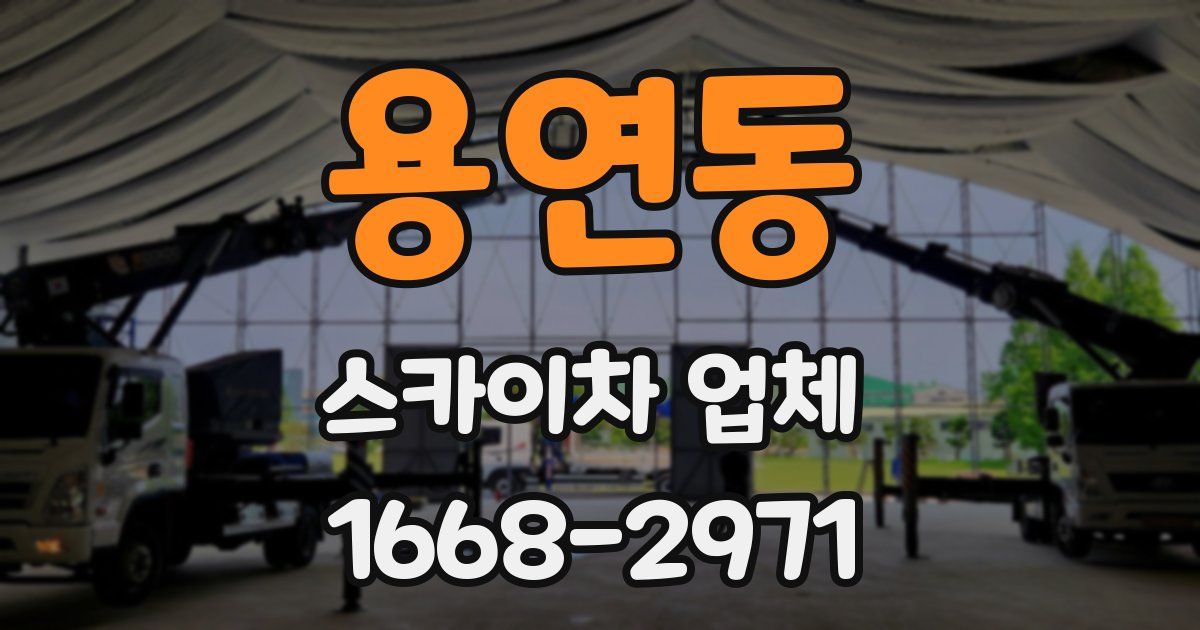 용연동 스카이차 업체