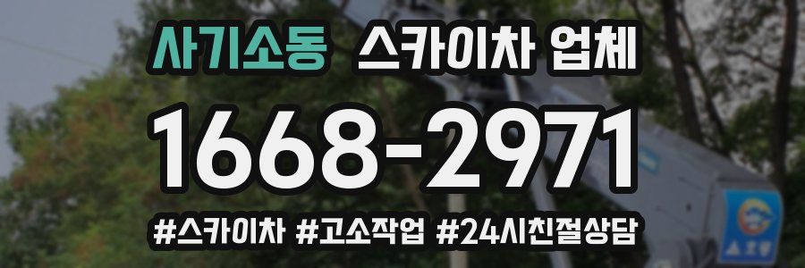사기소동 스카이차 업체