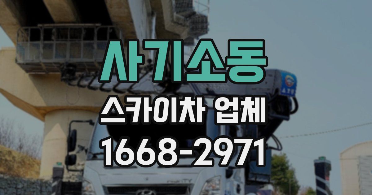 사기소동 스카이차 업체