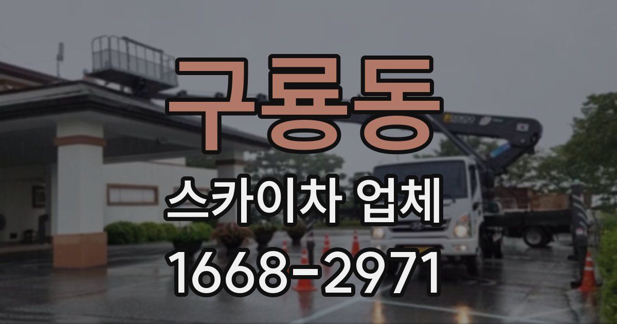 구룡동 스카이차 업체