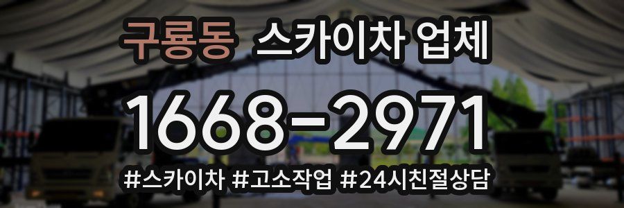 구룡동 스카이차 업체