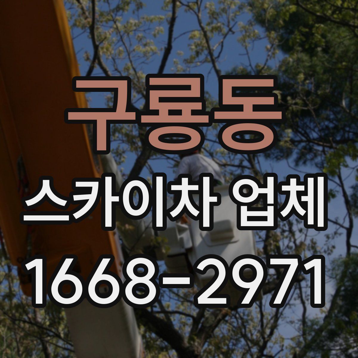 구룡동 스카이차 업체