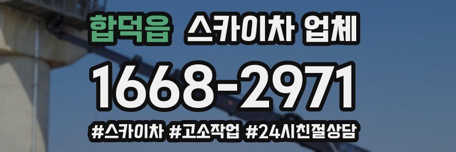 합덕읍 스카이차 업체