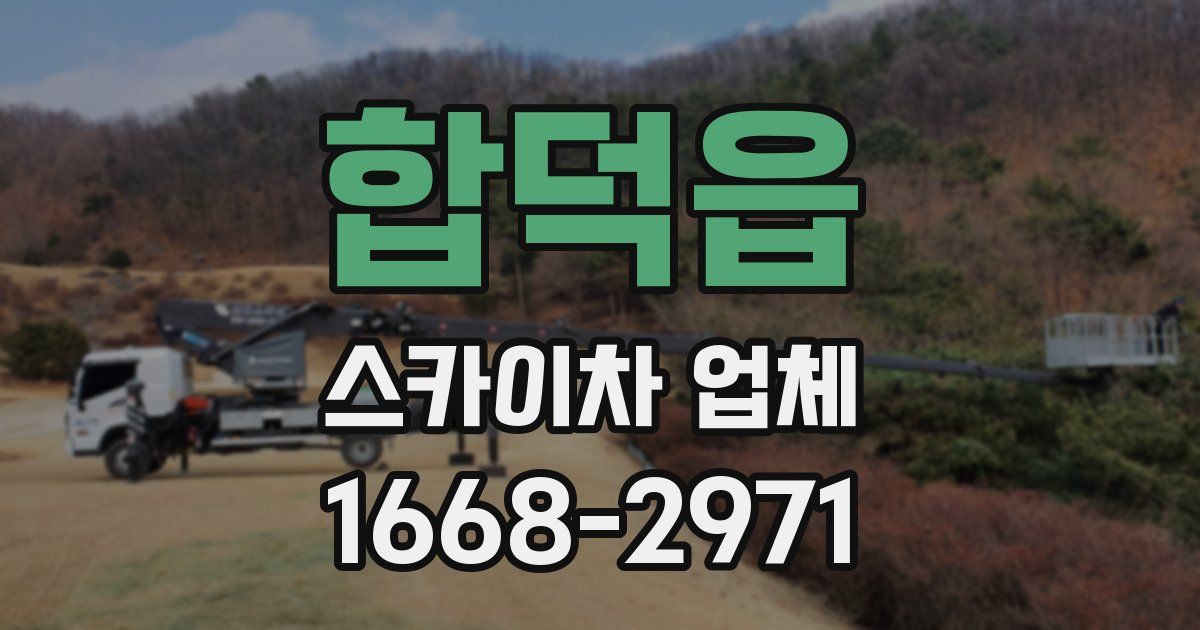 합덕읍 스카이차 업체