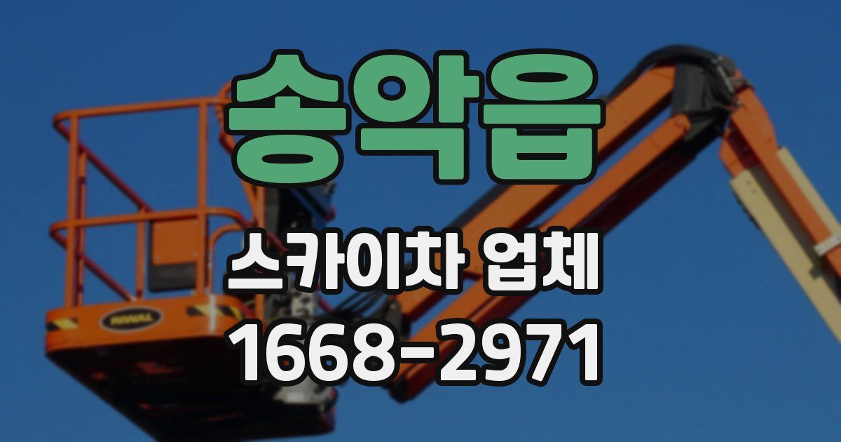 송악읍 스카이차 업체