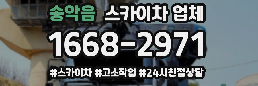 송악읍 스카이차 업체