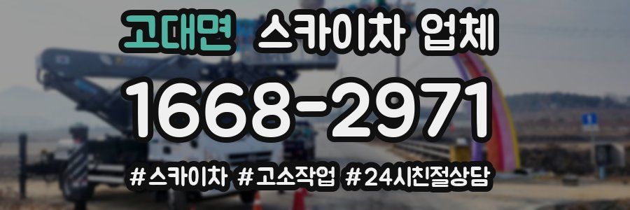 고대면 스카이차 업체