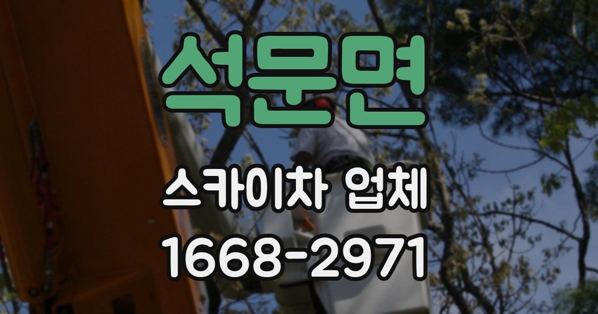 석문면 스카이차 업체
