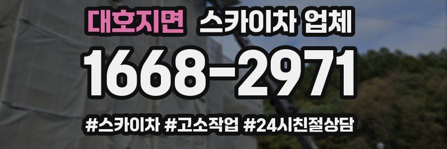 대호지면 스카이차 업체