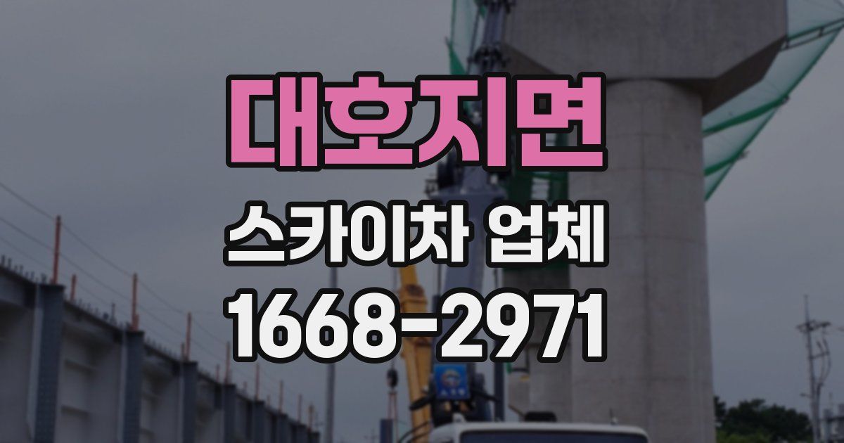 대호지면 스카이차 업체