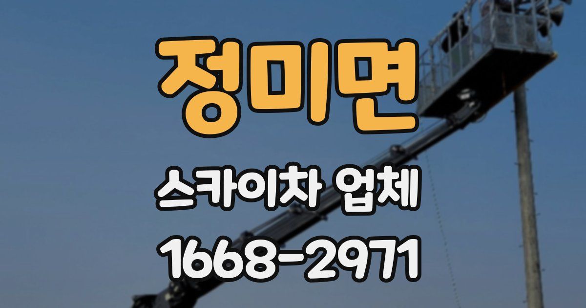 정미면 스카이차 업체