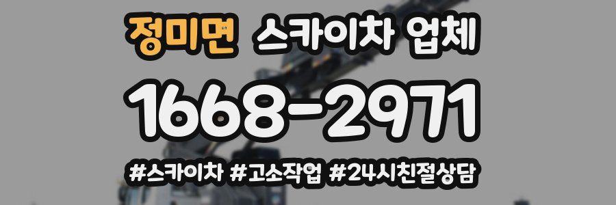 정미면 스카이차 업체