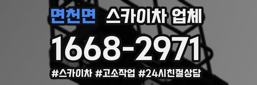 면천면 스카이차 업체