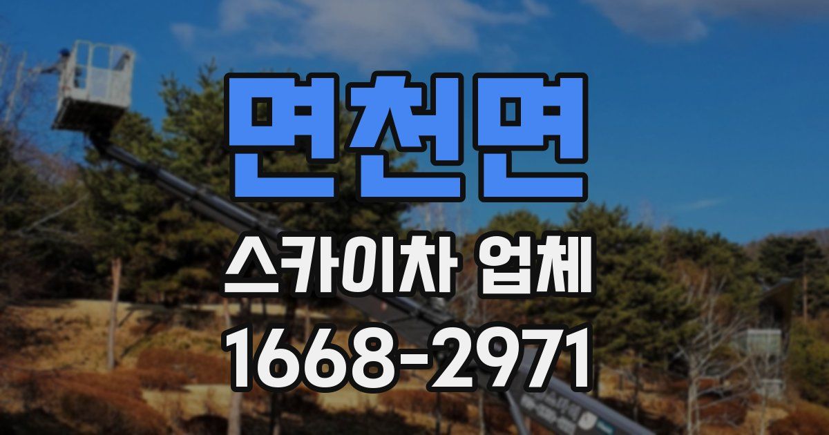 면천면 스카이차 업체