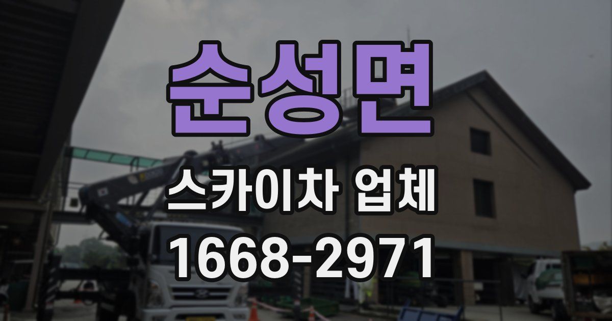 순성면 스카이차 업체