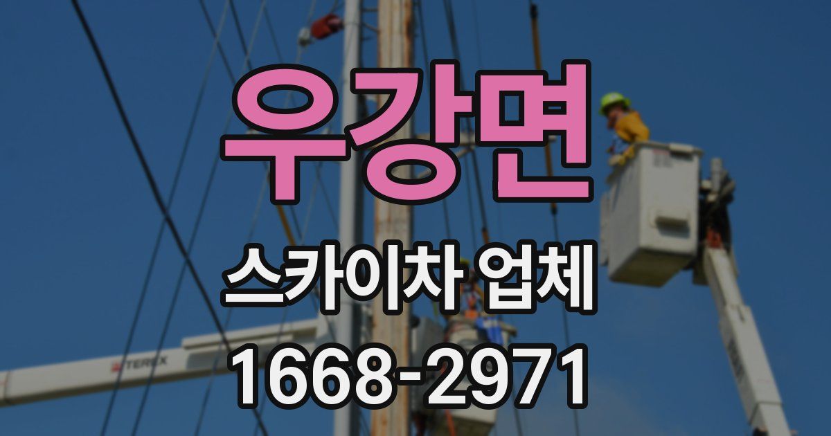 우강면 스카이차 업체