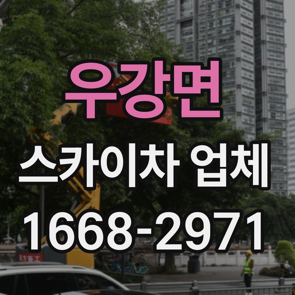 우강면 스카이차 업체