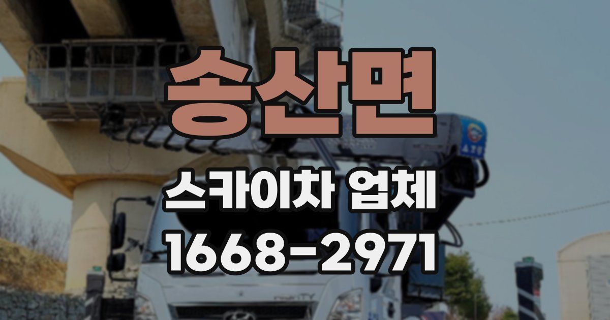 송산면 스카이차 업체