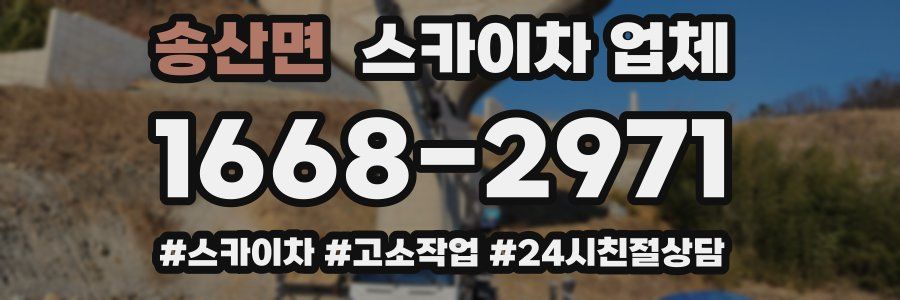 송산면 스카이차 업체