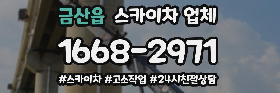 금산읍 스카이차 업체