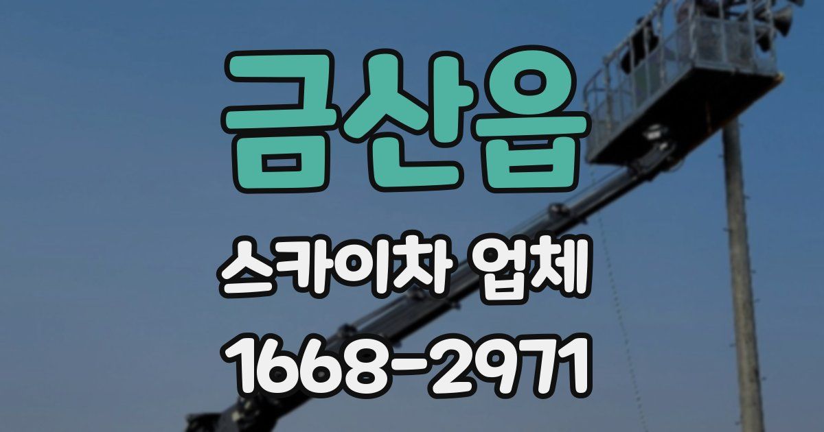 금산읍 스카이차 업체
