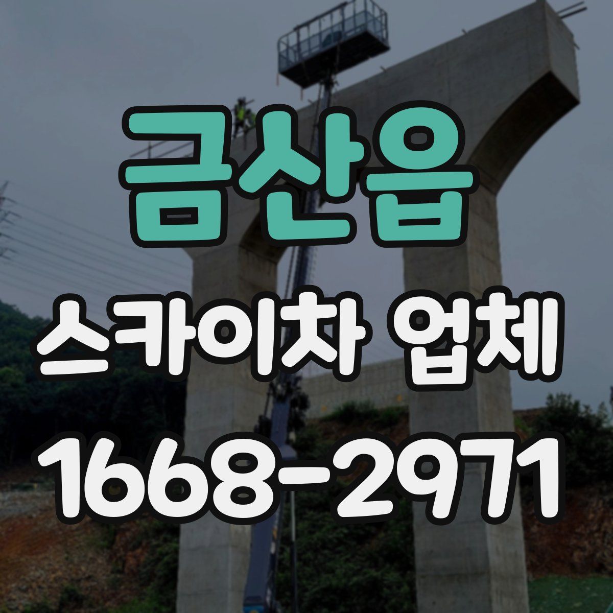 금산읍 스카이차 업체
