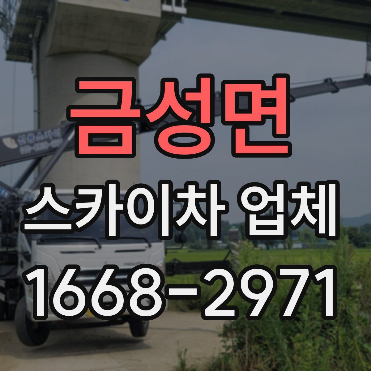 금성면 스카이차 업체