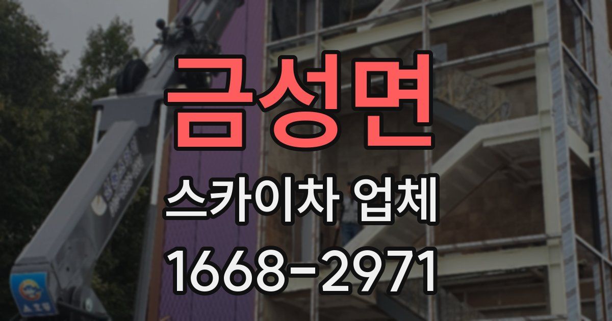 금성면 스카이차 업체
