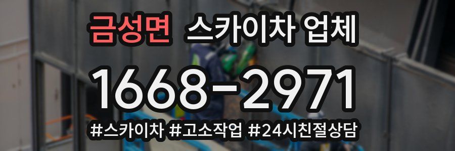 금성면 스카이차 업체