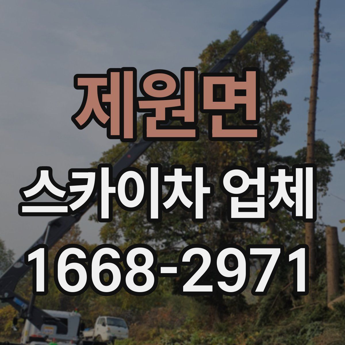 제원면 스카이차 업체