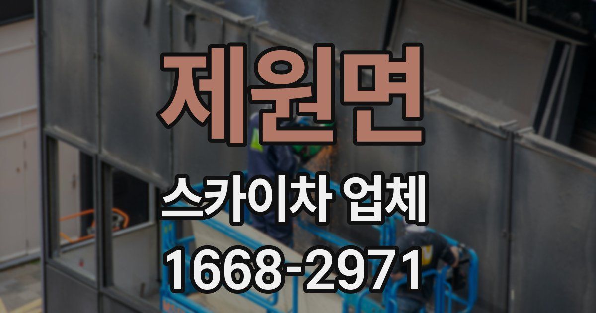제원면 스카이차 업체
