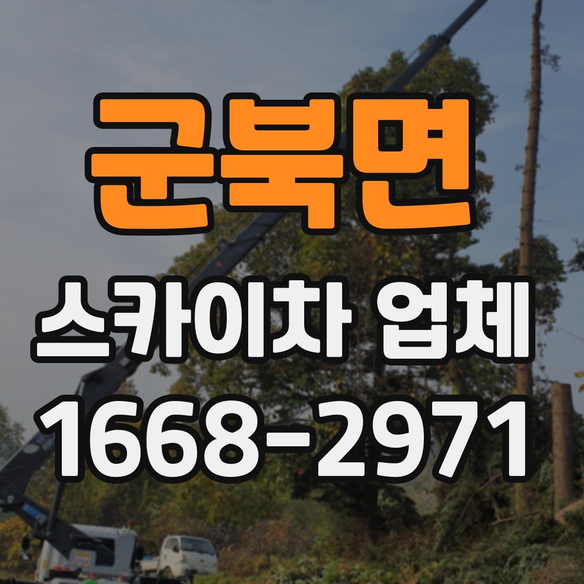 군북면 스카이차 업체